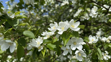 Similar image 22637137