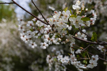 Similar image 22637138