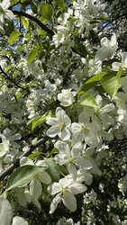 Similar image 22637140