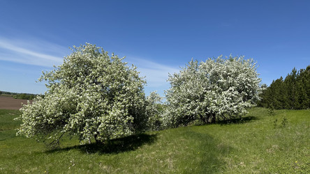 Similar image 22637141