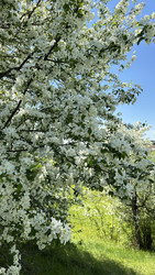 Similar image 22637152