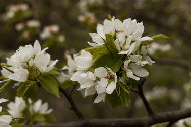 Similar image 22637153