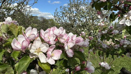 Similar image 22637154