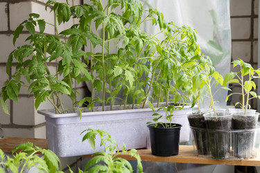 Similar image 22637155