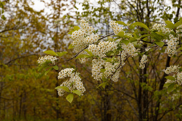 Similar image 22637156