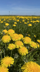 Similar image 22637167