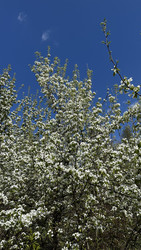 Similar image 22637168