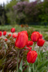 Similar image 22637169