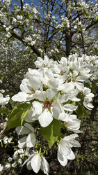 Similar image 22637170