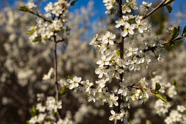 Similar image 22637171