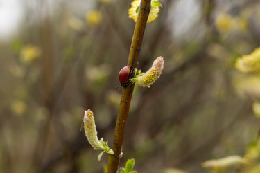 Similar image 22637182