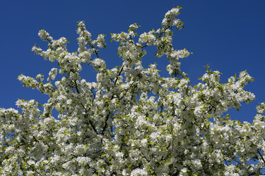 Similar image 22637183