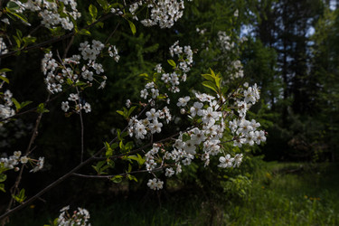 Similar image 22637184