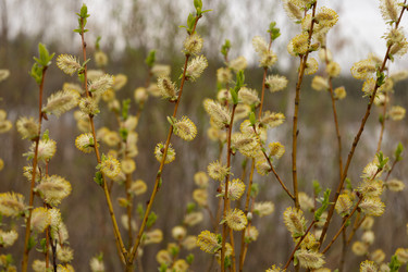 Similar image 22637185