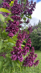 Similar image 22637186