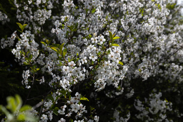 Similar image 22637197