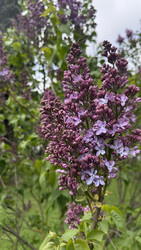 Similar image 22637198