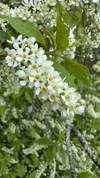 Similar image 22637200