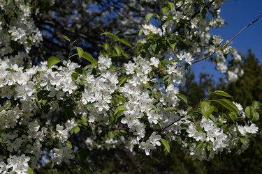 Similar image 22637212