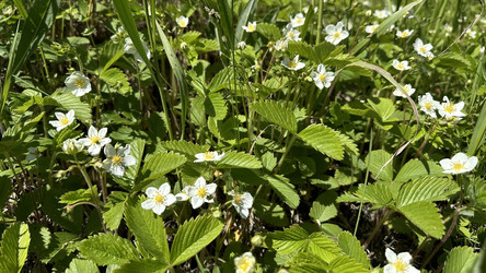 Similar image 22637213