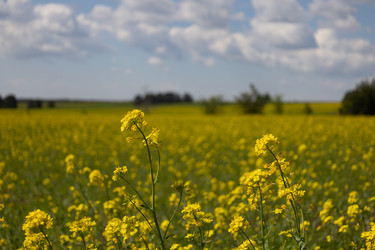 Similar image 22637214