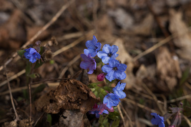 Similar image 22637215