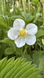 Similar image 22637216