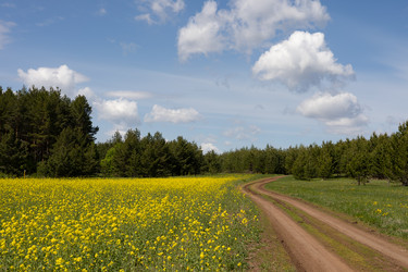 Similar image 22637227