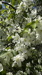 Similar image 22637228