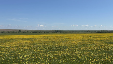 Similar image 22637229