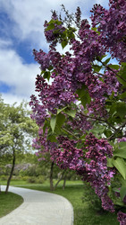 Similar image 22637272