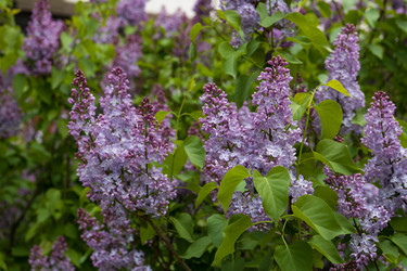 Similar image 22637273