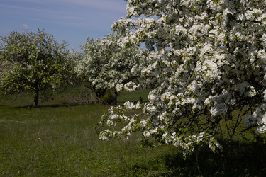 Similar image 22637274