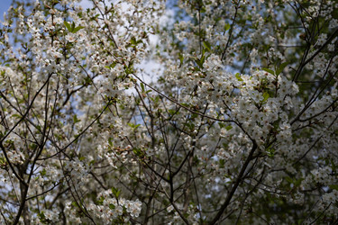 Similar image 22637275