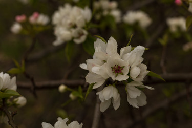 Similar image 22637276