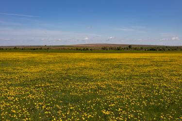 Similar image 22637277