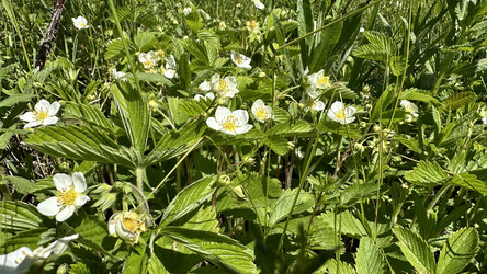 Similar image 22637287