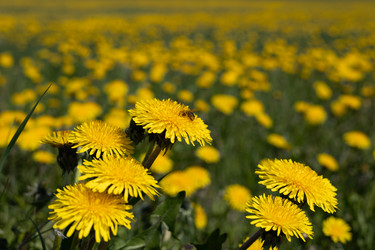 Similar image 22637288