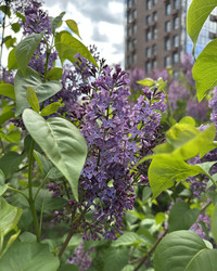 Similar image 22637289