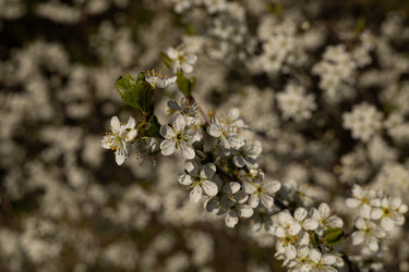 Similar image 22637290