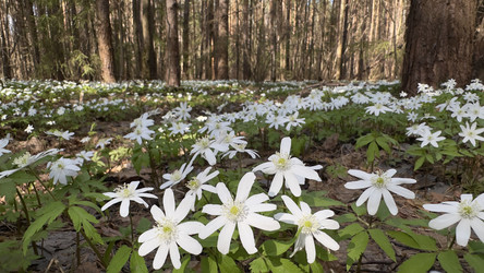 Similar image 22637291