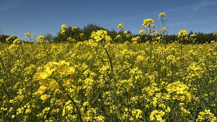 Similar image 22637292