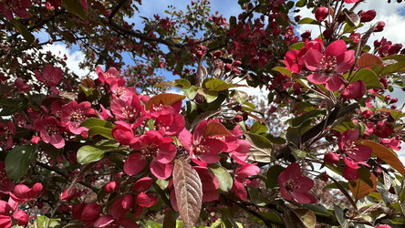 Similar image 22637294