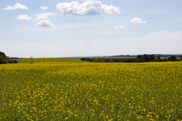 Similar image 22637302