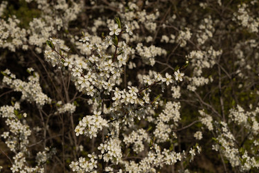 Similar image 22637303