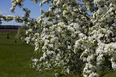 Similar image 22637304