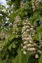 Similar image 22637305