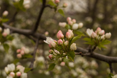 Similar image 22637306