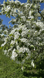 Similar image 22637307