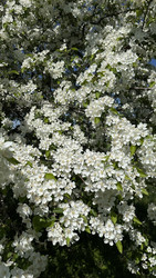 Similar image 22637308